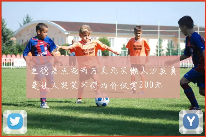 里德差点花两万美元买懒人沙发真是让人哭笑不得均价仅需200元