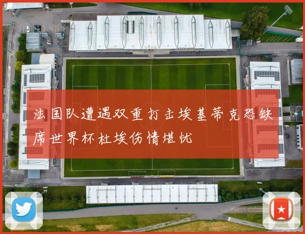 法国队遭遇双重打击埃基蒂克恐缺席世界杯杜埃伤情堪忧