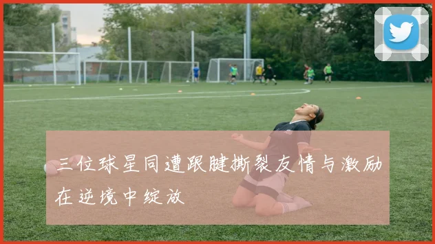 三位球星同遭跟腱撕裂友情与激励在逆境中绽放