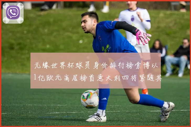 无缘世界杯球员身价排行榜索博以1亿欧元高居榜首意大利四将紧随其后